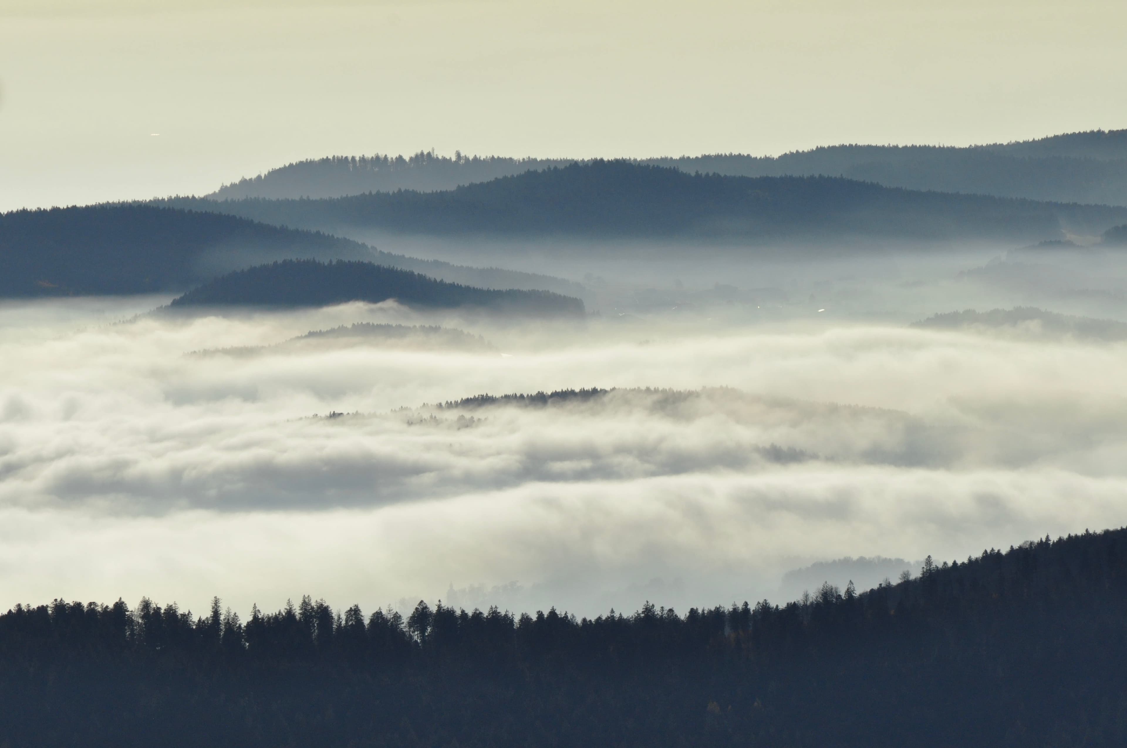 Brume nordique