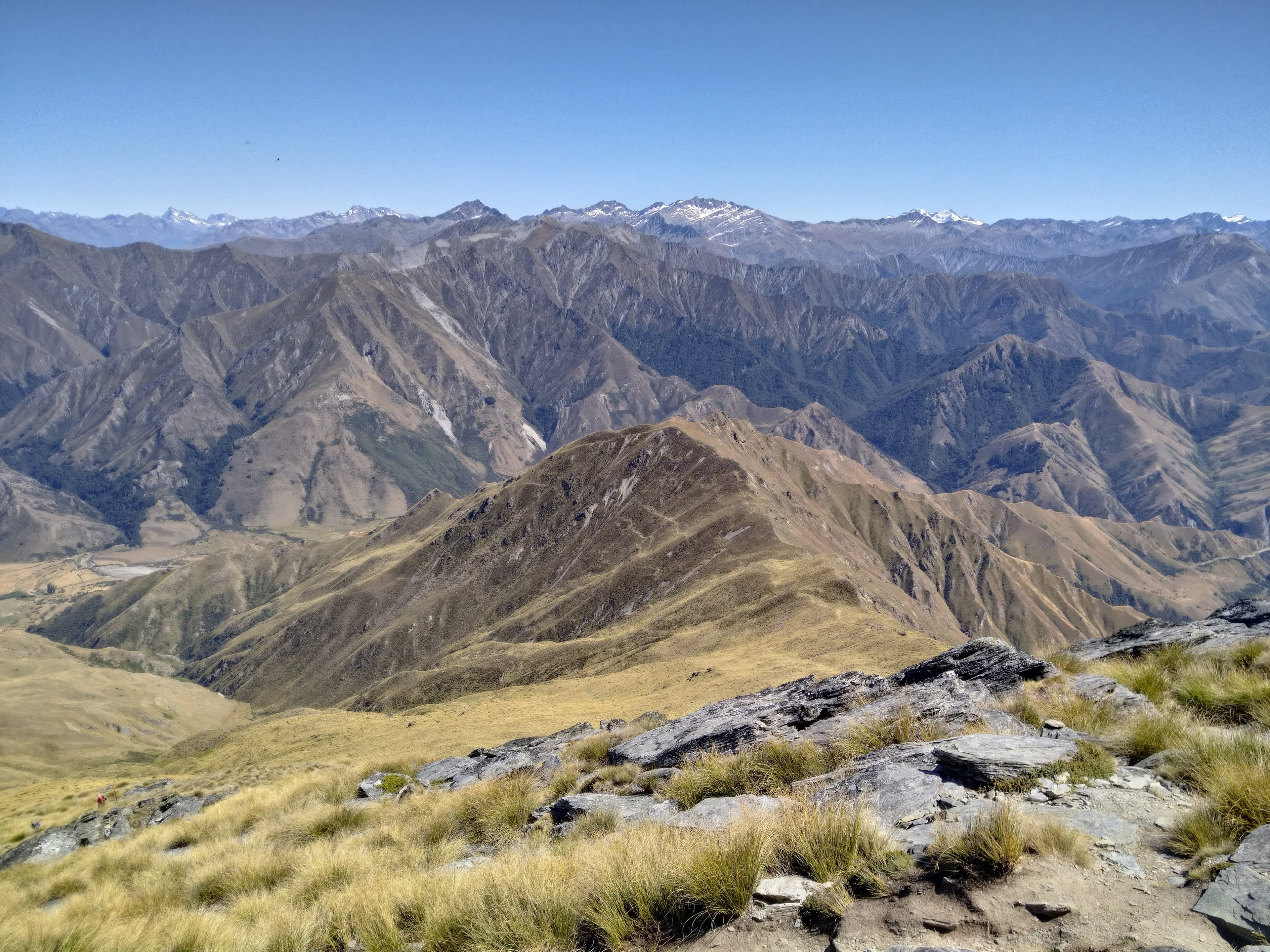 Alpes néo-zélandaises